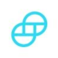 geminiapp手机版中文版 v3.5.0