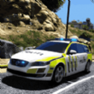 疯狂老六驾驶 v1.0