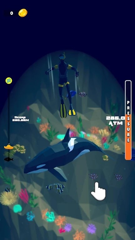 70af8e482045d5889695ceb09b2f906b