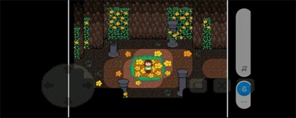 21100025b342e8CKUFED4fV00po