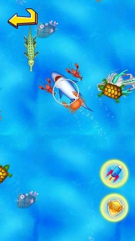 04a5f44b3f21f145a8aac86da2f132a5