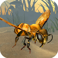 蜜蜂大作战 v5.0.24