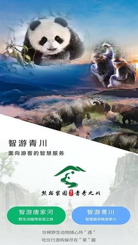 bae95a7214ae4919525ce08cfff99a05