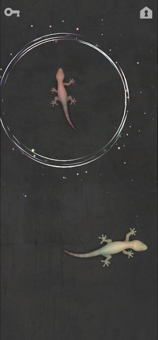 small_1683705403bEZJ