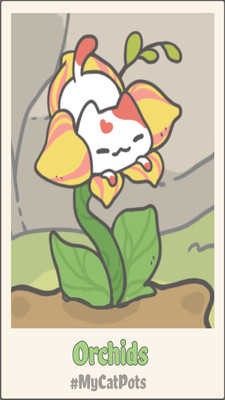 18a55c3868e249a6965c0838e5db9858