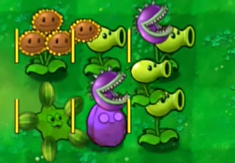 2410464866224wqDWMa0b5l8jum