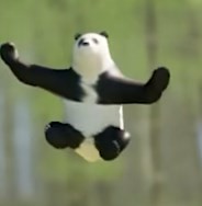 m木糖m熊猫爬竹子