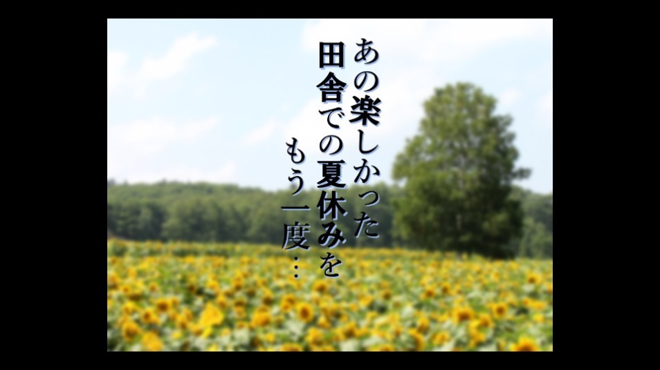 Dingtalk_20240820111940