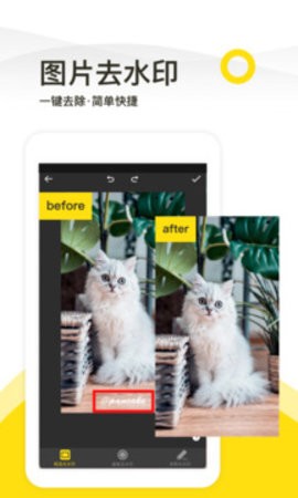 110_22b6bed102b9ed98c041679ec3931c22_234x360