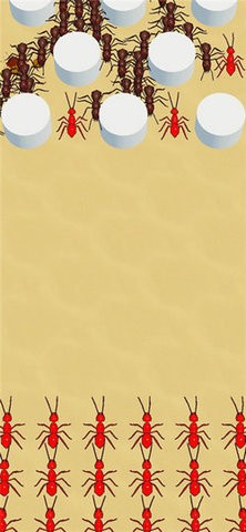 d3ff8386-d7bb-4c9c-bb99-2e20d9e764ea_270x480