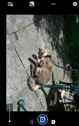 20230903023800806_270x480