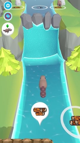 202435155059885970_270x480