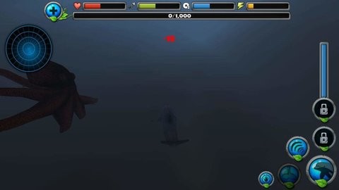 202346153553996080_480x270