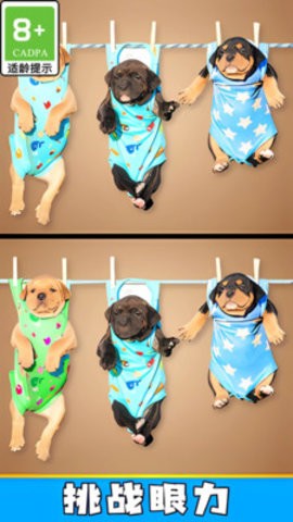 20241119190511283_270x480