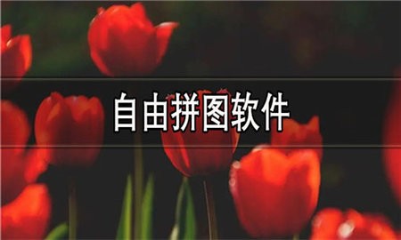 自由拼图软件合集