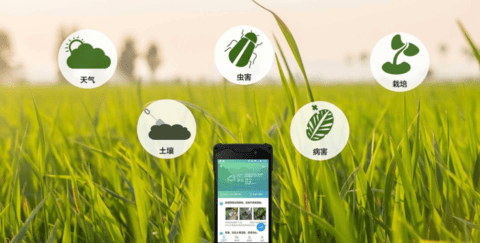 种植技术app有哪些