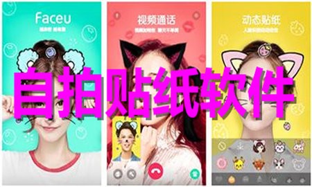 自拍贴纸软件合集
