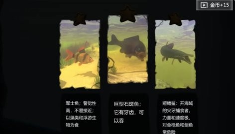 20100138ed4b_480x270