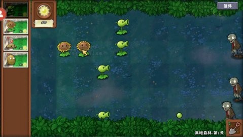 20240613162849_21535_480x270