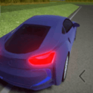 拉力赛车王官方版 v1.0.0