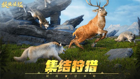 d714448d-b2dc-4182-a440-cf76b9d5027a