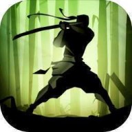 Ӱ2棨Shadow Fight 2