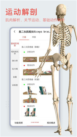 3Dbody解剖手机版 第2张图