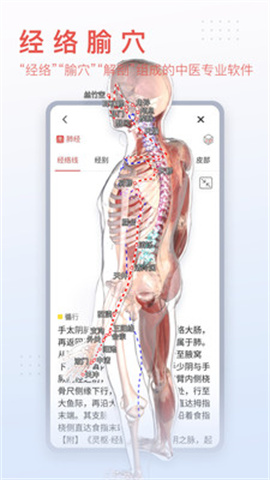 3Dbody解剖手机版 第1张图