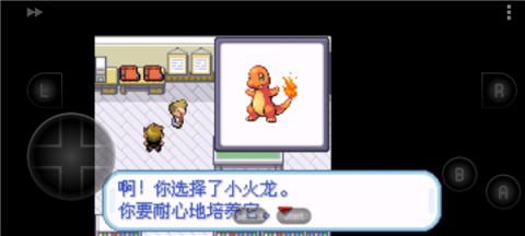 口袋妖怪叶绿 第4张图