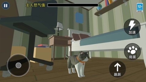 猫咪城市历险记 猫咪城市历险记 第1张图