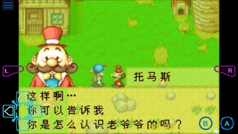 牧场物语矿石镇的伙伴们 第2张图