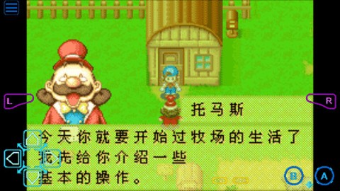 牧场物语矿石镇的伙伴们 第3张图