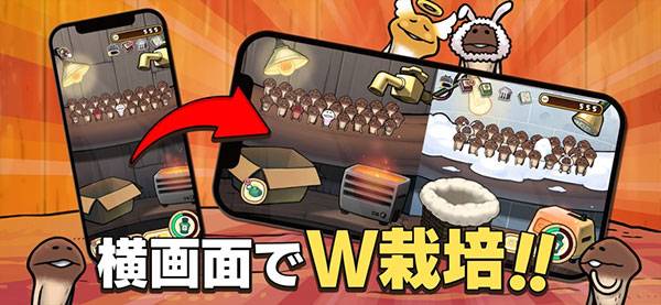 原始菇菇栽培实验室 第3张图