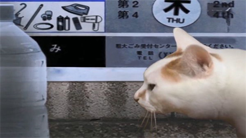 猫的一天怪奇谭 第1张图