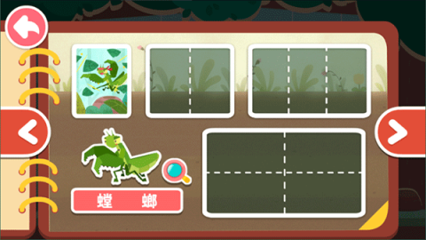 奇妙昆虫日记 第5张图