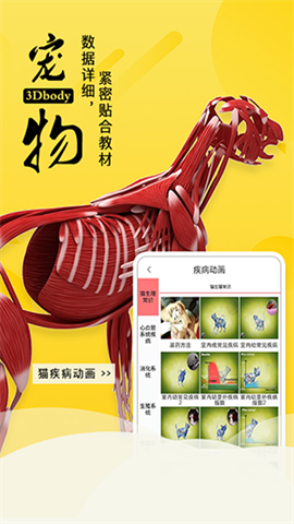 3dbody宠物 第2张图