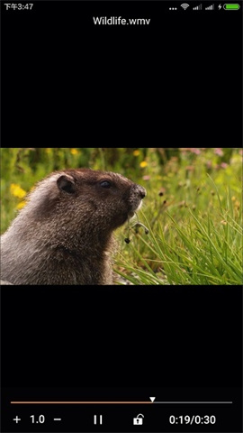 金沐文件助手 第2张图