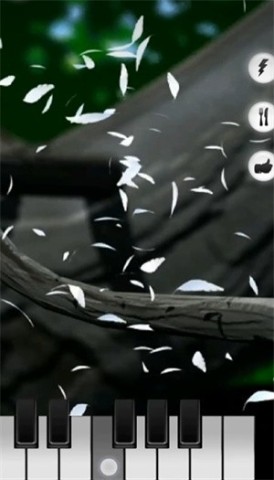 TalkingLarry会说话的拉里鸟 第5张图