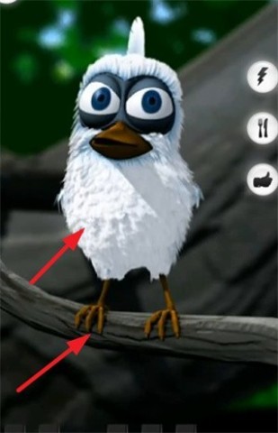 TalkingLarry会说话的拉里鸟 第6张图