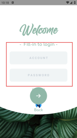 海岸盒子 第3张图