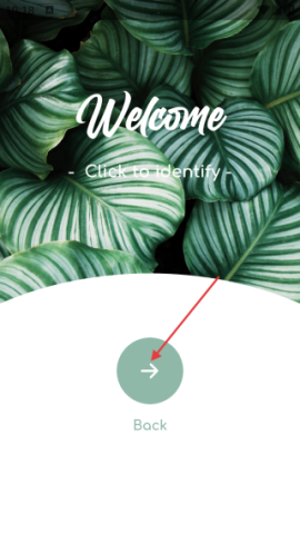 海岸盒子 第2张图