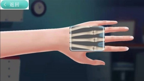 x射线扫描模拟器游戏 X射线扫描模拟器 第1张图