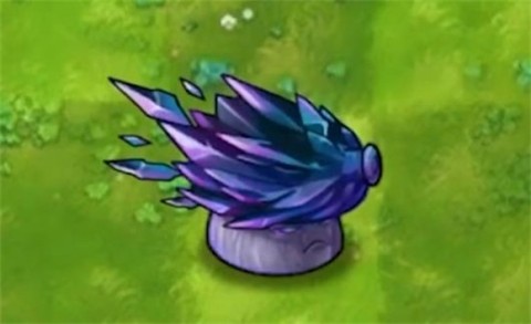 ֲսʬںϰ2.5.1ҷ 13ͼ