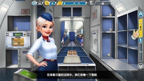 airplane chefs 3ͼ