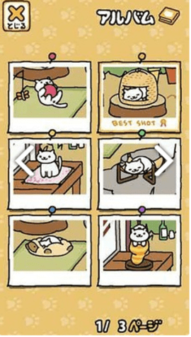 猫咪后院1.12.0版本 第1张图