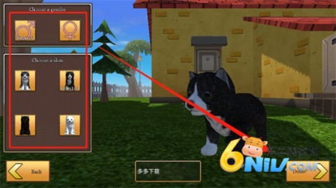 美国Zoom与动物Zoom 第2张图