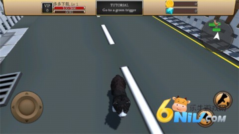 美国Zoom与动物Zoom 第4张图