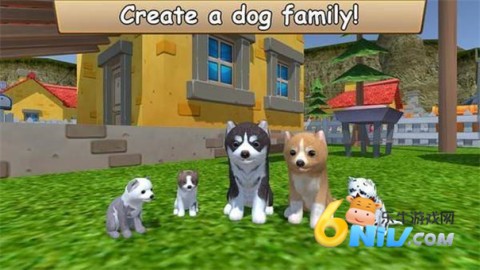 17472120494214_water