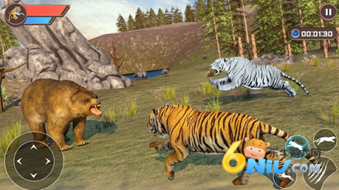 17578452654556_water