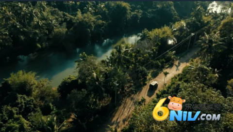 扫毒风暴 第3张图